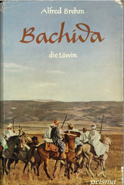 Bachida. Die Löwin. Tier- und Abenteuergeschichten eines Afrikareisenden (Mit Federzeichnungen von Michael Lißmann)